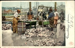 Weighing Up The Catch Gloucester, MA Postcard Postcard