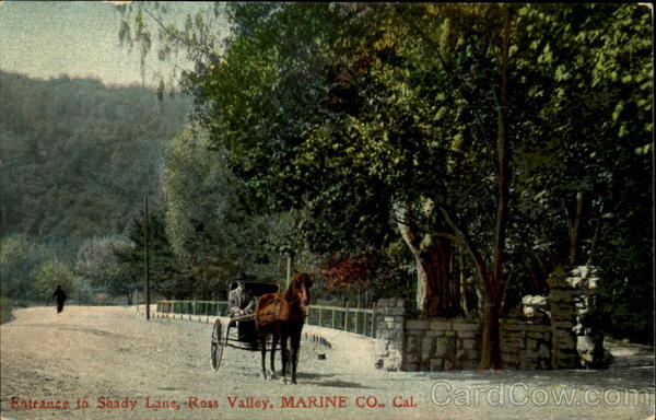 Entrance In Shady Lane Ross Valley California