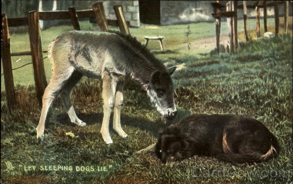 Let Sleeping Dogs Lie