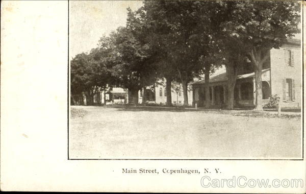 Main Street Copenhagen New York