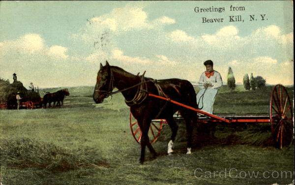 Greetingsfrom Beaver Kill New York