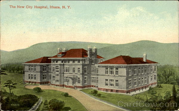 The New City Hospital Ithaca New York