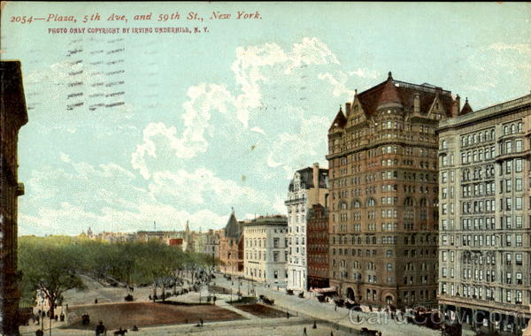 Plaza, 5th Ave. and 59th St. New York