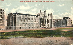 New College Of The City Of New York Postcard