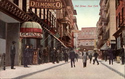 Pell Street New York City, NY Postcard Postcard