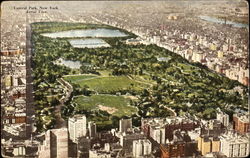 Aerial View, Central Park Postcard