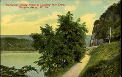 Driveway Along Potomacleading Into Town Postcard