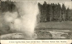 A Geyser Spouting Steam, Yellowstone National Park Postcard