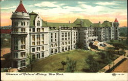 Museum Of Natural History Postcard