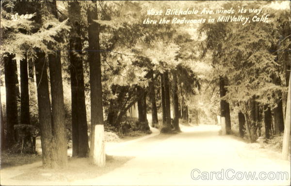 West Blithdale Ave Mill Valley California