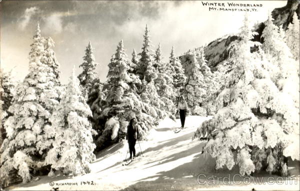 Winter Wonderland Mt. Mansfield Vermont
