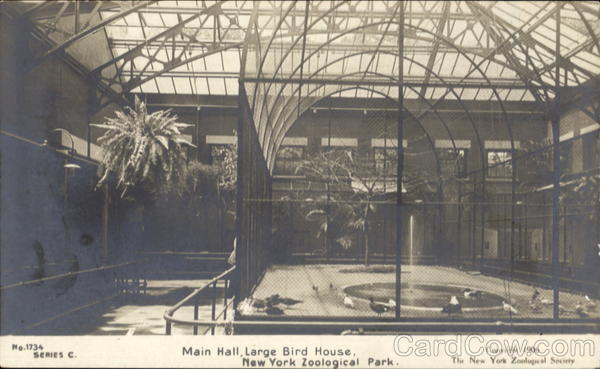 Main Hall Large Bird House, New York Zoological Park New York City