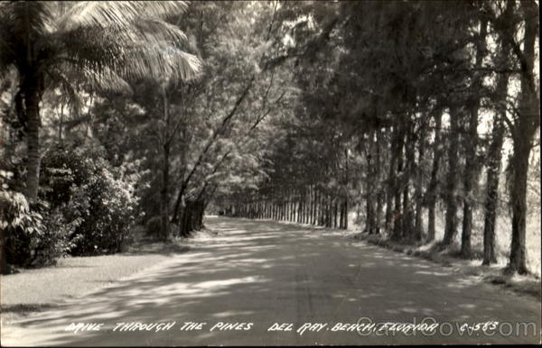 Through The Pines Delray Beach Florida