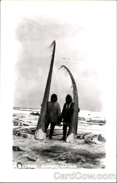 Baleen - Eskimo Whalers Barrow Alaska