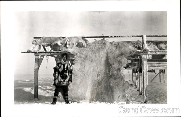 Eskimo with Polar Bear Skin Barrow Alaska