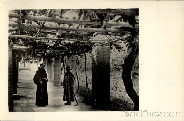 Under The Grape Vines Lima Peru