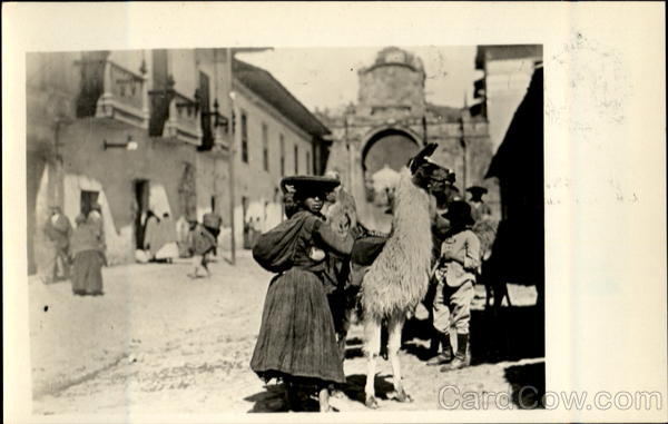 An Indian Woman With Llama Cuzco Peru