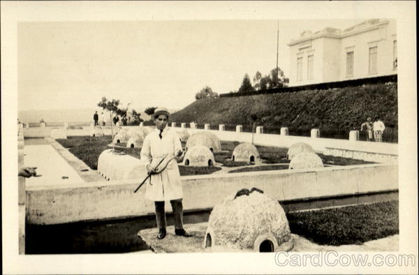 The Snake Farm Sao Paulo Brazil South America