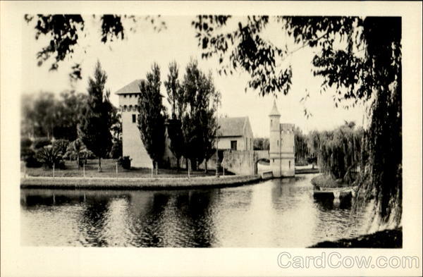 A Scene In Urbano Park Montevideo Uruguay