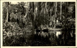 River Scene St. Petersburg, FL Postcard Postcard