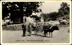 Men with Ox Cart Postcard