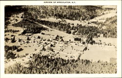 Airview Of Speculator Postcard