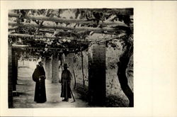 Under The Grape Vines Lima, Peru Postcard Postcard