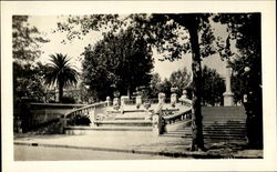 Plaza Libertad Postcard