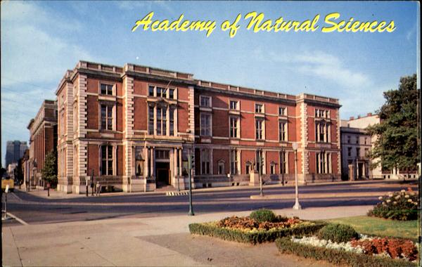 The Academy Of Natural Sciences Of Philadelphia, 19th Street and The Parkway Pennsylvania