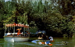 Jungle River Cruise Postcard