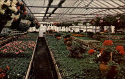Wedgewood Gardens, Route 352 Postcard