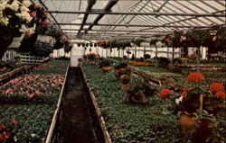 Wedgewood Gardens, Route 352 Glen Mills, PA Postcard Postcard