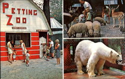 Forest Zoo, 5 Miles off U.S. Rt. 22 Postcard