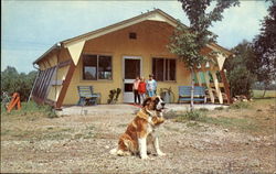 Camp Store And Holly The Camp Mascot Mercer, PA Postcard Postcard