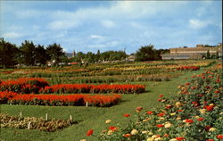 Flower Gardens, The Pennsylvania State University Postcard
