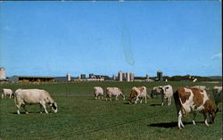 Stock #142706 Thumbnail