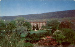 Albright College Campus And Administration Building Postcard