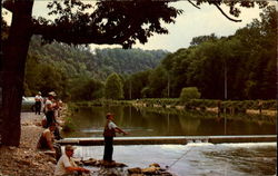 Fishermen's Paradise, Spring Creek Bellefonte, PA Postcard Postcard