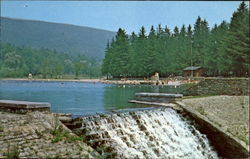 Greenwood Furnace State Park, State Route 305 South Postcard