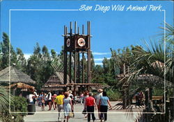 San Diego Wild Animal Park Postcard