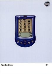 Palm Pacific Blue Postcard