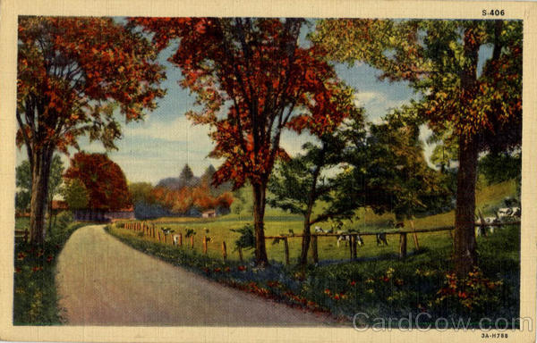Rural Scene, cows, foliage Middletown New York