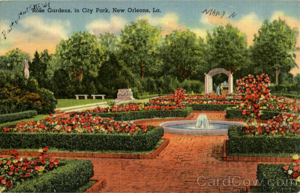 Rose Gardens in City Park New Orleans Louisiana