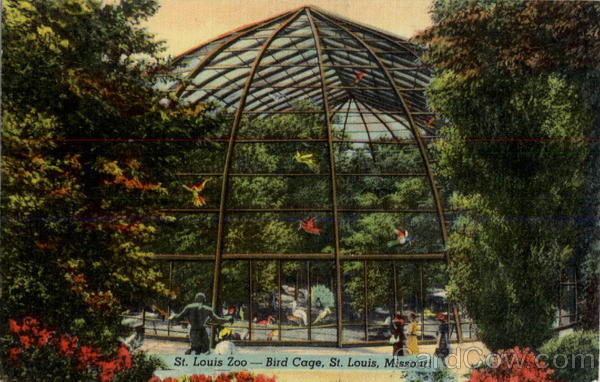 St. Louis Zoo Bird Cage Missouri