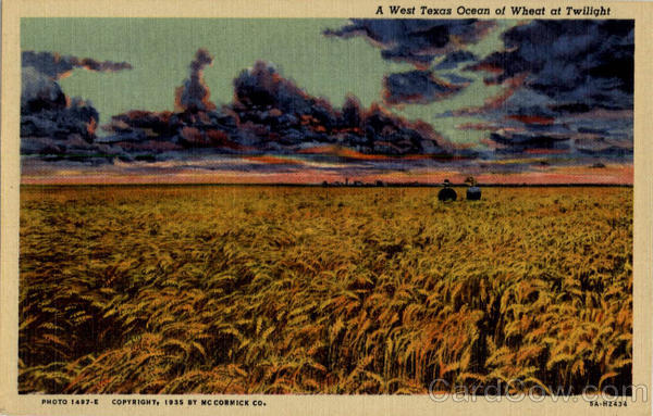 A West Texas Ocean of Wheat at Twilight - Wheat Field Scenic