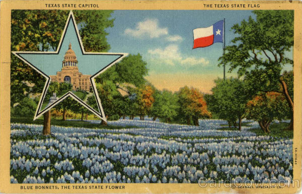 Texas State Capitol Texas State Flag Blue Bonnets Scenic