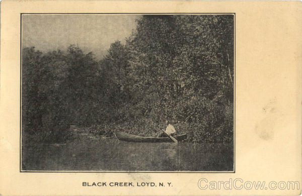 Black Creek Lloyd New York