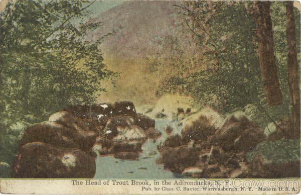 Head of Trout Brook in the Adirondacks Adirondack Mountains New York