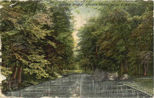 Bronx River Bronx Park New York City