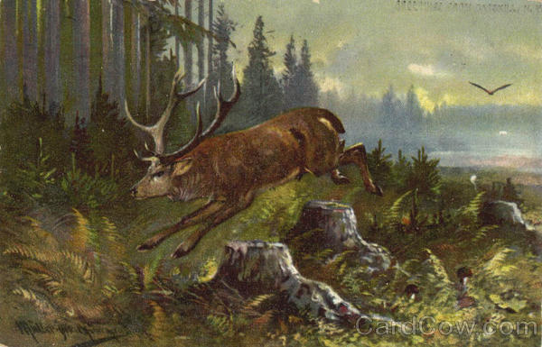 Deer, Buck Jumping, Running, Hunting Nature Scene Catskills New York